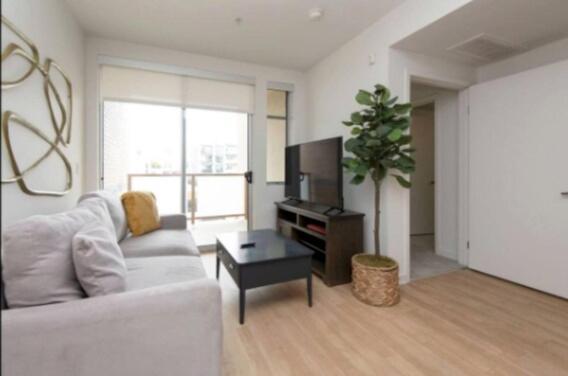 Walk To Santa Monica Pier Boardwalk Venice Apartamento *